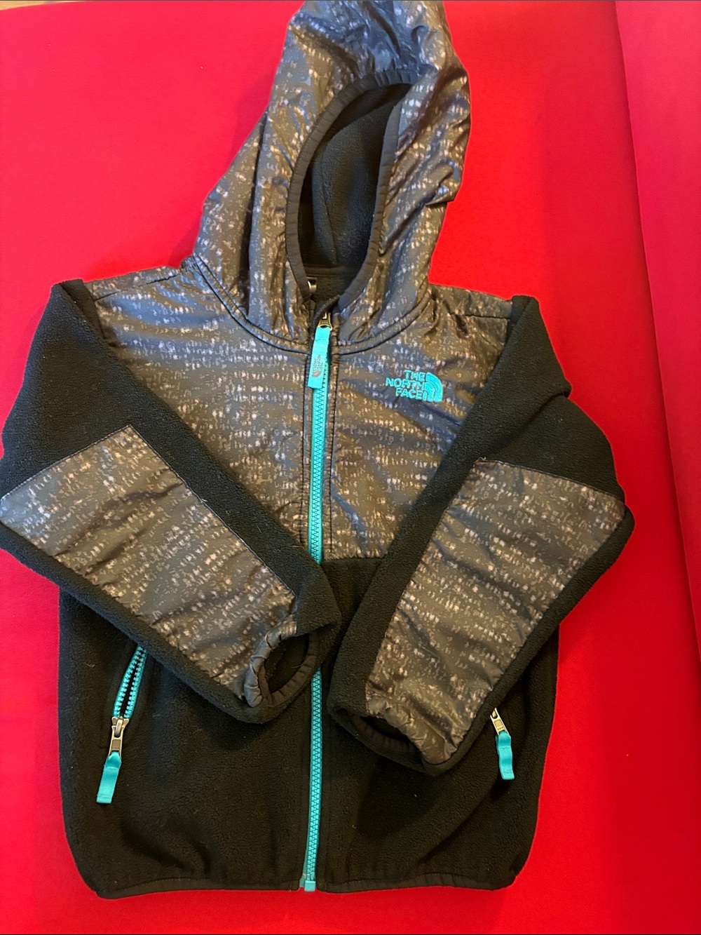 The North Face Black Fleece Hoodie with Teal Accents